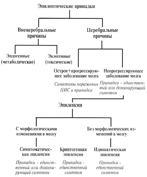 Эпилепсия у взрослых причины и симптомы